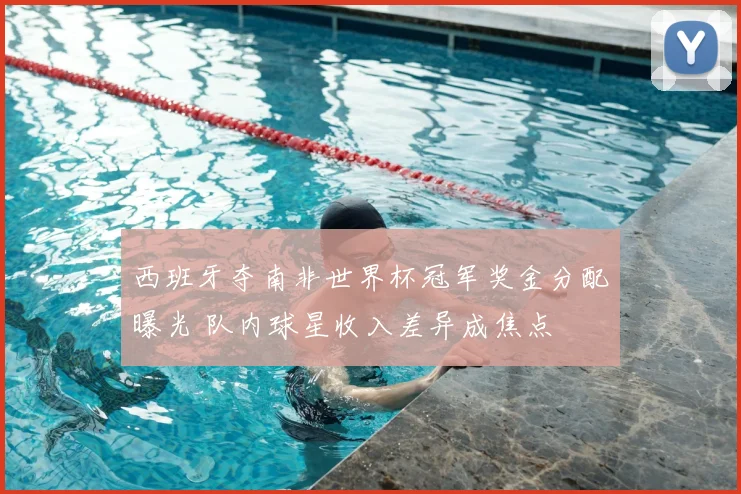 西班牙夺南非世界杯冠军奖金分配曝光 队内球星收入差异成焦点