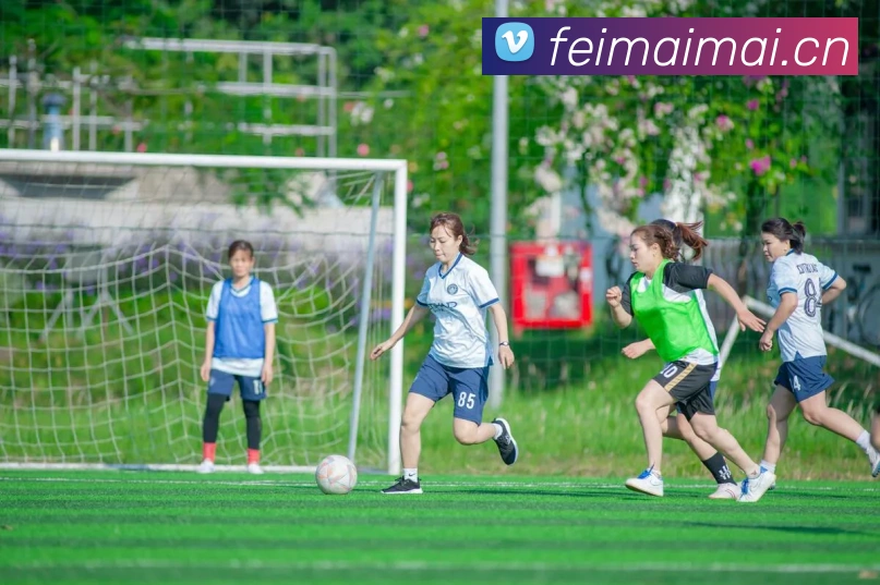 开云app官方入口网页版平台生态图